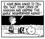 peanuts.jpg