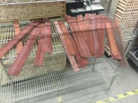 blood wood.jpg