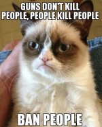 funny-grumpy-cat-ban-people1.jpg