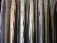 vencues8[1] (3) (Medium).jpg