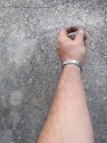 IMG_0371.jpg
