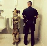 K-9.jpg