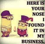 minion 1.jpg