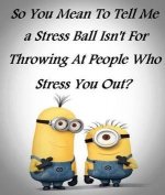 minion 5.jpg