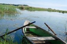 image.jpeg image.jpeg