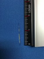 Screen Shot 2016-07-02 at 12.03.29 AM.jpg