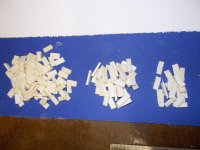 Big Ivory Inlays.JPG