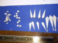 Inlays (Ivory) 2.jpg