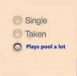 Plays pool.jpg