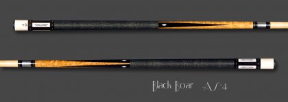 blackboar_Q2336.jpg