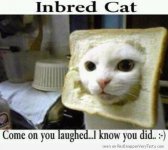 image.jpeg