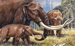 american_mastodon_1.jpg