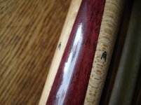 DSC00165.jpg