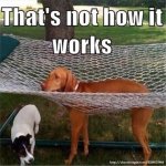 not-how-it-works-300x300.jpg