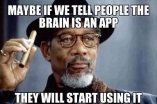 brainapp.jpg