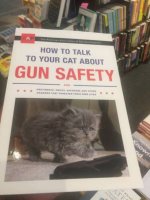 cat safety.jpg cat safety.jpg