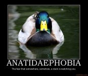 osprey-albums-images-interwebs-some-my-stuff-too-picture6664-scary-duck.jpg