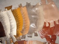 DSC01750__Small_[1] (2).JPG