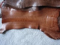 DSC01868__Small_[1] (2).JPG