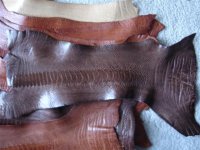 DSC01869__Small_[1] (2).JPG