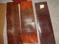 DSC01754__Small_[1] (2).JPG