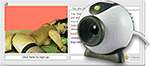 abagail2.gif
