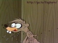 weasel01.jpg