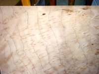 burl2.jpg