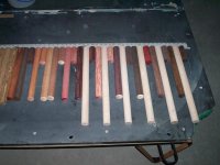 000_0771 (Medium).JPG