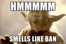 yoda.jpg