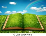 IMG_2321.JPG IMG_2321.JPG