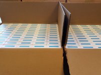 Lots of DigiCues.jpg