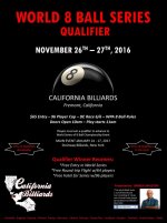 Cal Qualifier World 8 Ball Series final.jpg