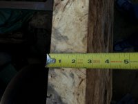 IMG_3961.jpg