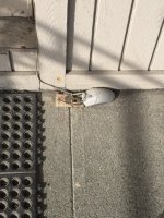 mouse trap.jpg