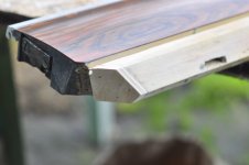 _DSC7796 [800x600].jpg