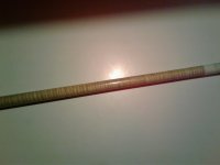 20161206_202954.jpg
