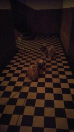IMG-20161123-WA0030.jpg