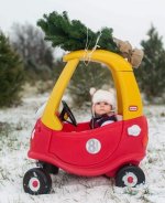 tree on car.jpg