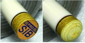 SIB (2).jpg