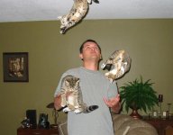 CatJuggling.jpg
