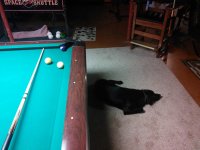 IMG_20170115_120709.jpg