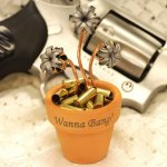 bang flower.jpeg