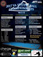 2017 VA 10-Ball Flyer.jpg