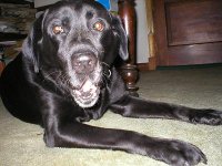 sammy2.JPG