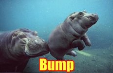 Bump.jpeg