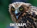 ohsnap.jpg