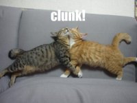 Clunk.jpg