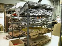 Leathers - small.JPG