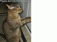 untitled.GIF